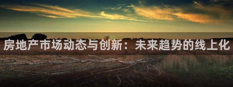 新宝5户端：房地产市场动态与创新：未来趋势的线上化