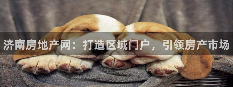 新宝5挂机软件：济南房地产网：打造区域门户，引领房产市场