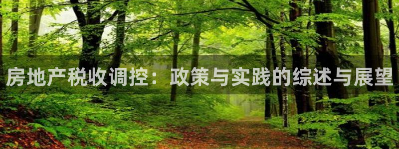 新宝5娱乐网址：房地产税收调控：政策与实践的综述与展望
