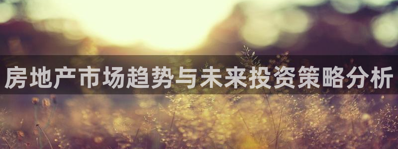 新宝5挂机软件：房地产市场趋势与未来投资策略分析