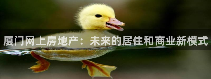 新宝5网：厦门网上房地产：未来的居住和商业新模式