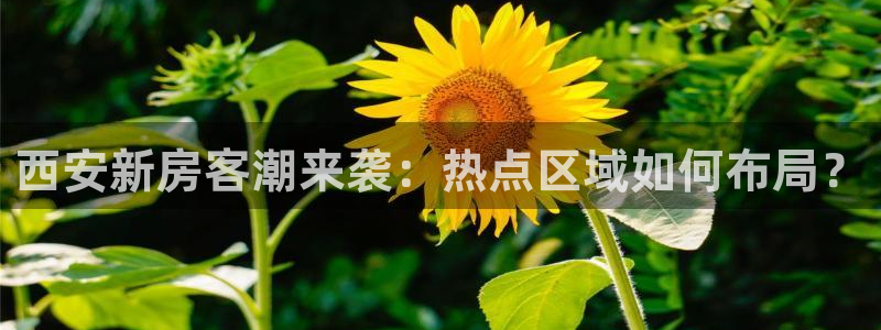新宝5怎么下载到桌面：西安新房客潮来袭：热点区域如何布局？
