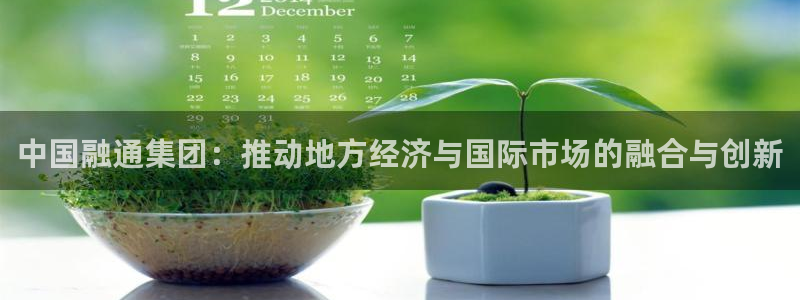 新宝5登陆地址：中国融通集团：推动地方经济与国际市场的融合与
