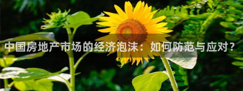 新宝5吴74OOO5：中国房地产市场的经济泡沫：如何防范与应