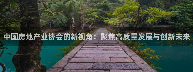 新宝5策略：中国房地产业协会的新视角：聚焦高质量发展与创新未