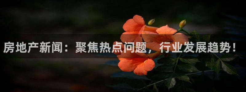新宝5官网67五壹叁八：房地产新闻：聚焦热点问题，行业发展趋