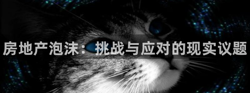 新宝5骗术：房地产泡沫：挑战与应对的现实议题