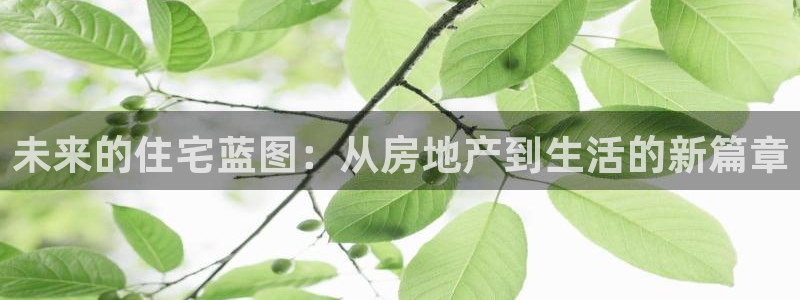 新宝5台卡：未来的住宅蓝图：从房地产到生活的新篇章