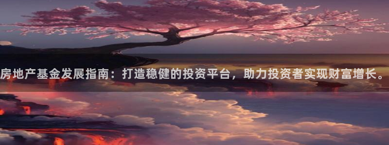 新宝b2O5O5O：房地产基金发展指南：打造稳健的投资平台，