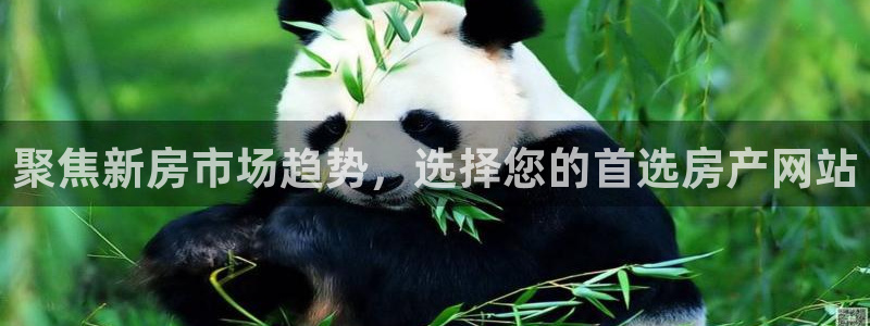 新宝5娱乐经：聚焦新房市场趋势，选择您的首选房产网站