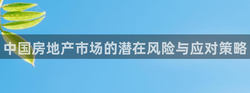 新宝5娱乐：中国房地产市场的潜在风险与应对策略