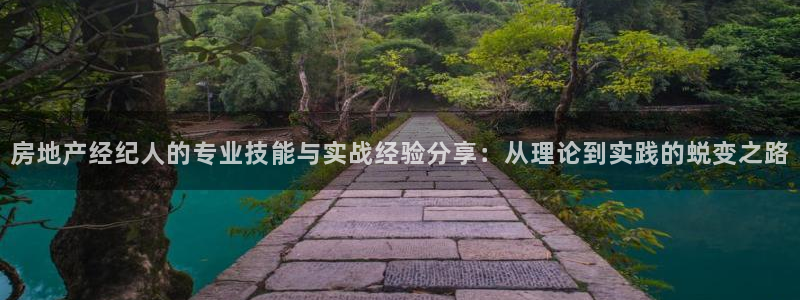 新宝5平台登录：房地产经纪人的专业技能与实战经验分享：从理论