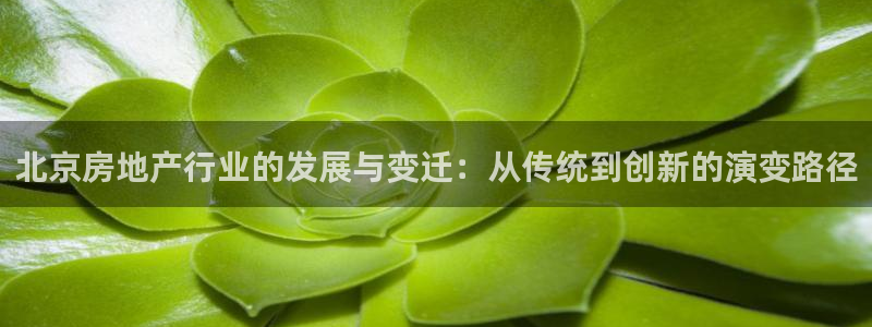 新宝5娱乐同：北京房地产行业的发展与变迁：从传统到创新的演变