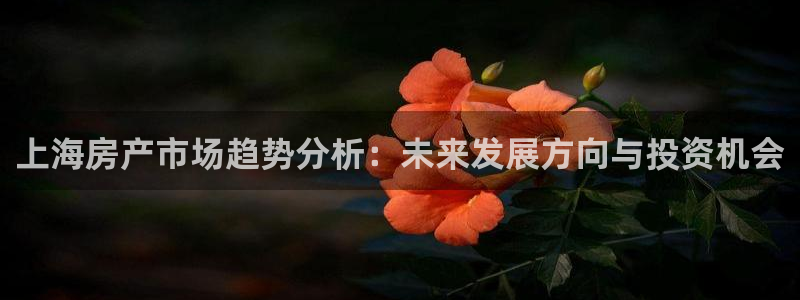 新宝5注册：上海房产市场趋势分析：未来发展方向与投资机会