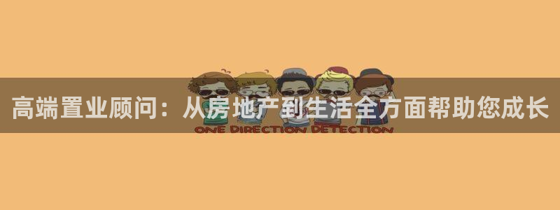 新宝5公司：高端置业顾问：从房地产到生活全方面帮助您成长