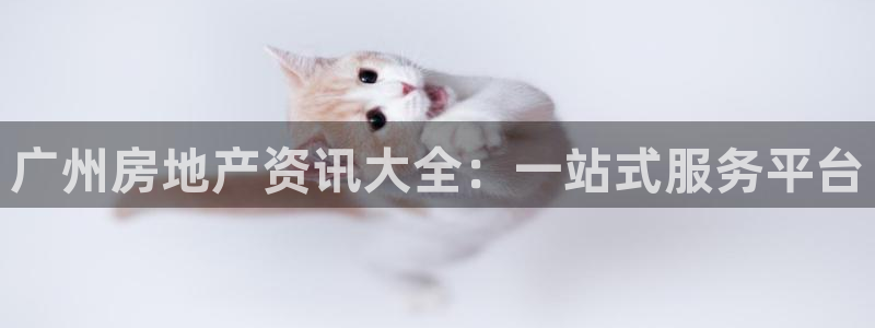 新宝5娱乐方：广州房地产资讯大全：一站式服务平台