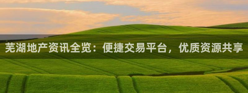 新宝5是谁：芜湖地产资讯全览：便捷交易平台，优质资源共享