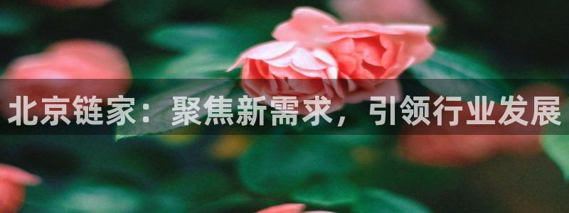 新宝5娱乐都：北京链家：聚焦新需求，引领行业发展