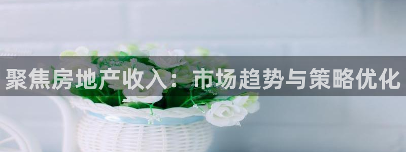 新宝5周74OOO5：聚焦房地产收入：市场趋势与策略优化