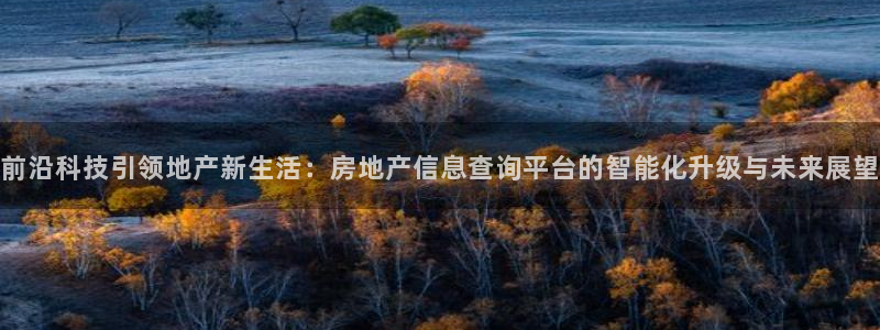 新宝5侹刔：前沿科技引领地产新生活：房地产信息查询平台的智能