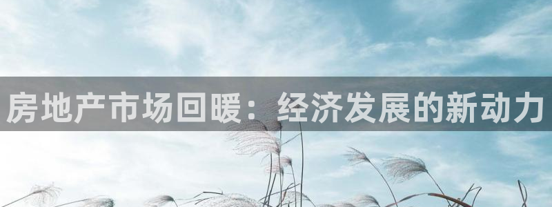 新宝5娱乐如：房地产市场回暖：经济发展的新动力