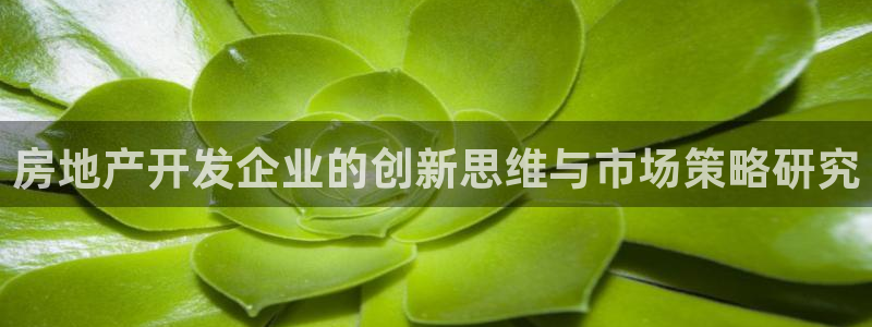 新宝5苹果手机下载：房地产开发企业的创新思维与市场策略研究