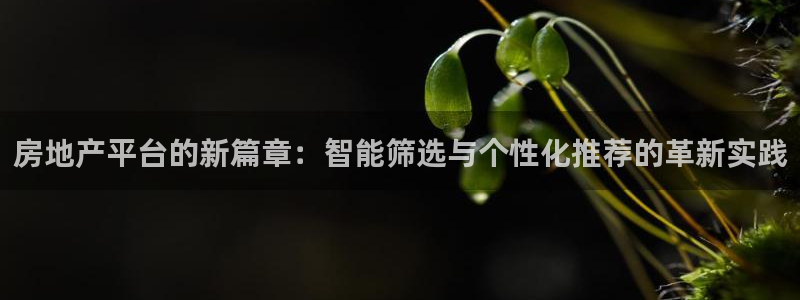 新宝5下载app：房地产平台的新篇章：智能筛选与个性化推荐的