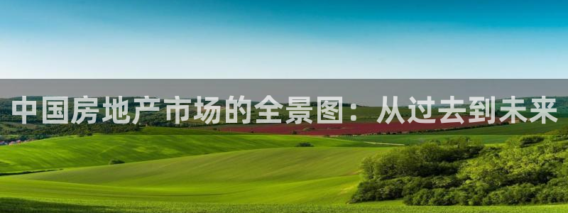新宝5下载：中国房地产市场的全景图：从过去到未来
