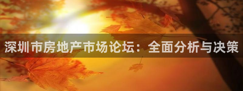 新宝堂新会陈皮5年：深圳市房地产市场论坛：全面分析与决策