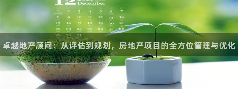 新宝5策略：卓越地产顾问：从评估到规划，房地产项目的全方位管