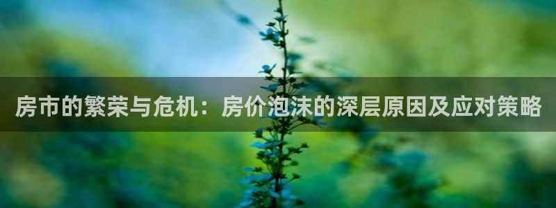 新宝rm5：房市的繁荣与危机：房价泡沫的深层原因及应对策略