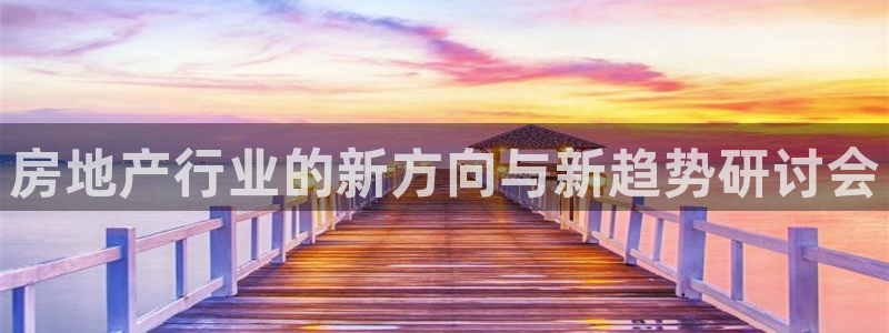 新宝xb5：房地产行业的新方向与新趋势研讨会