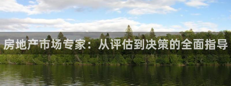 新宝5上来77542：房地产市场专家：从评估到决策的全面指导