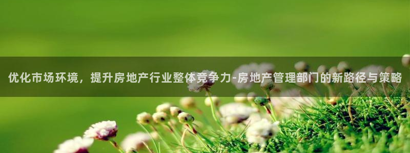 新宝5注册平台：优化市场环境，提升房地产行业整体竞争力-房地