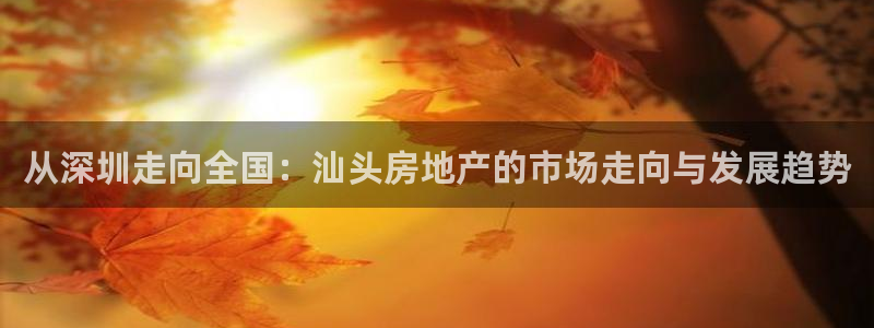 新宝5登录地址：从深圳走向全国：汕头房地产的市场走向与发展趋