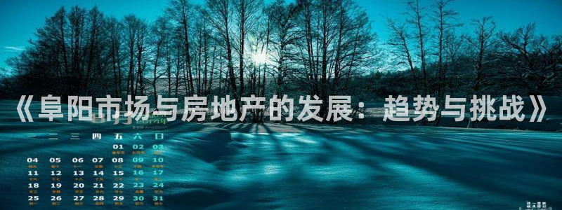 新宝5测速在线：《阜阳市场与房地产的发展：趋势与挑战》