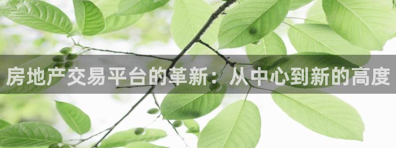 新宝集团新宝5：房地产交易平台的革新：从中心到新的高度