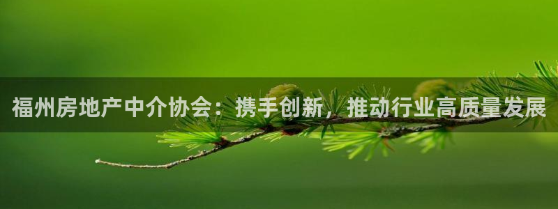 i新宝5：福州房地产中介协会：携手创新，推动行业高质量发展