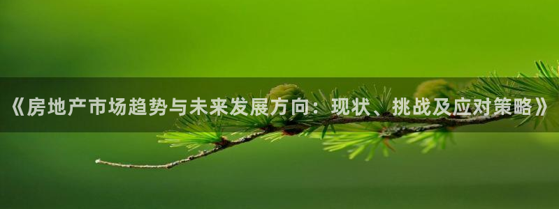 新宝5官网霸：《房地产市场趋势与未来发展方向：现状、挑战及应
