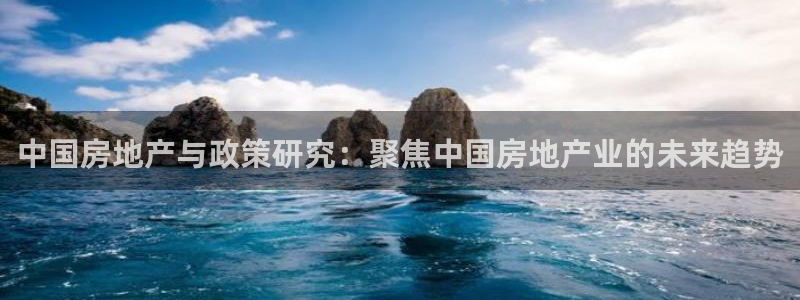 新宝5导师：中国房地产与政策研究：聚焦中国房地产业的未来趋势