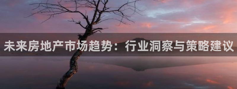新宝5娱乐招商：未来房地产市场趋势：行业洞察与策略建议