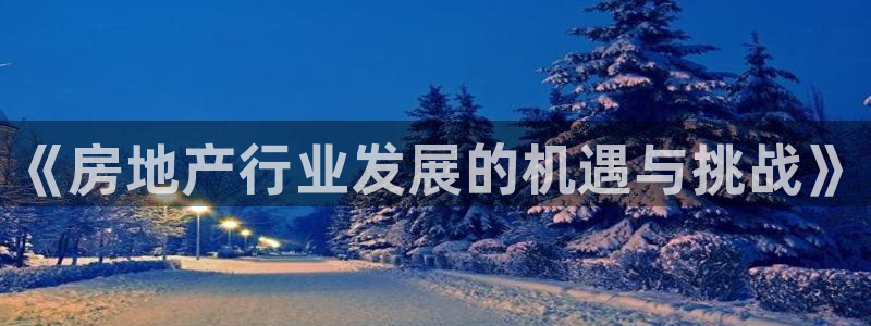 新宝5五：《房地产行业发展的机遇与挑战》