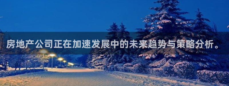 新宝5尤74OOO5：房地产公司正在加速发展中的未来趋势与策