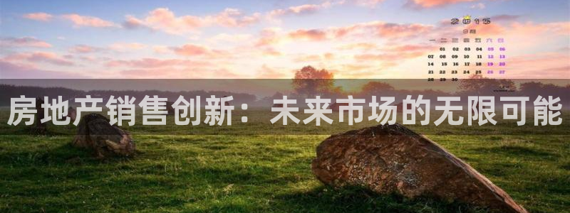 新宝5怎么代理：房地产销售创新：未来市场的无限可能