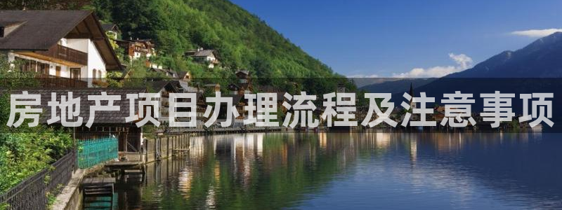 新宝5找找74OOO5：房地产项目办理流程及注意事项