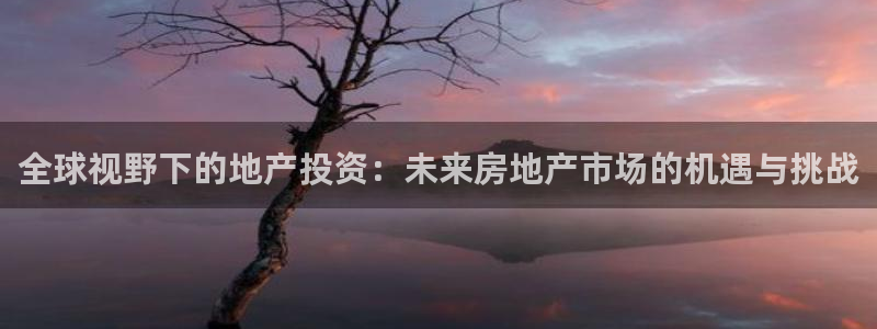 新宝5电脑：全球视野下的地产投资：未来房地产市场的机遇与挑战