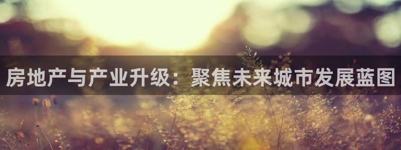 新宝5测速登录：房地产与产业升级：聚焦未来城市发展蓝图