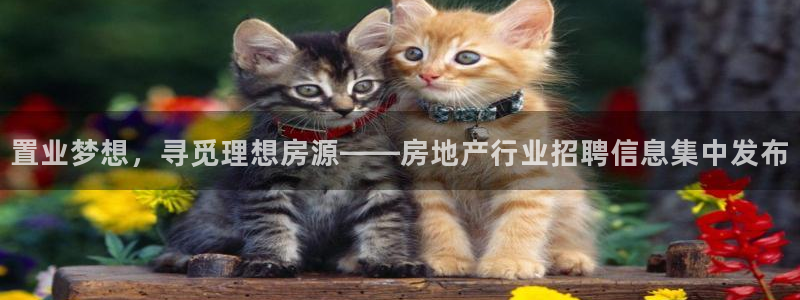 新宝5线路登录：置业梦想，寻觅理想房源——房地产行业招聘信息