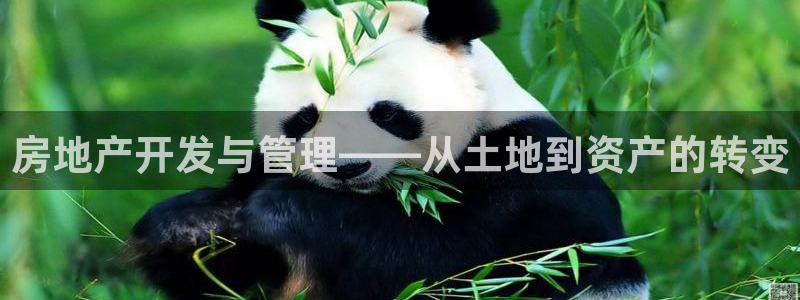 新宝5球维33 300：房地产开发与管理——从土地到资产的转