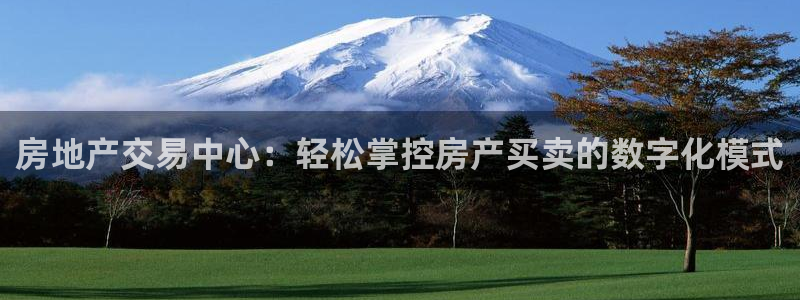 新宝5娱乐都：房地产交易中心：轻松掌控房产买卖的数字化模式
